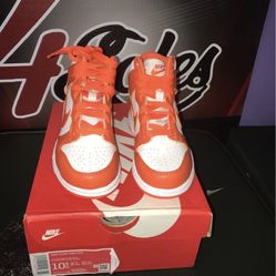 Brand New Nike Dunk High (TD)