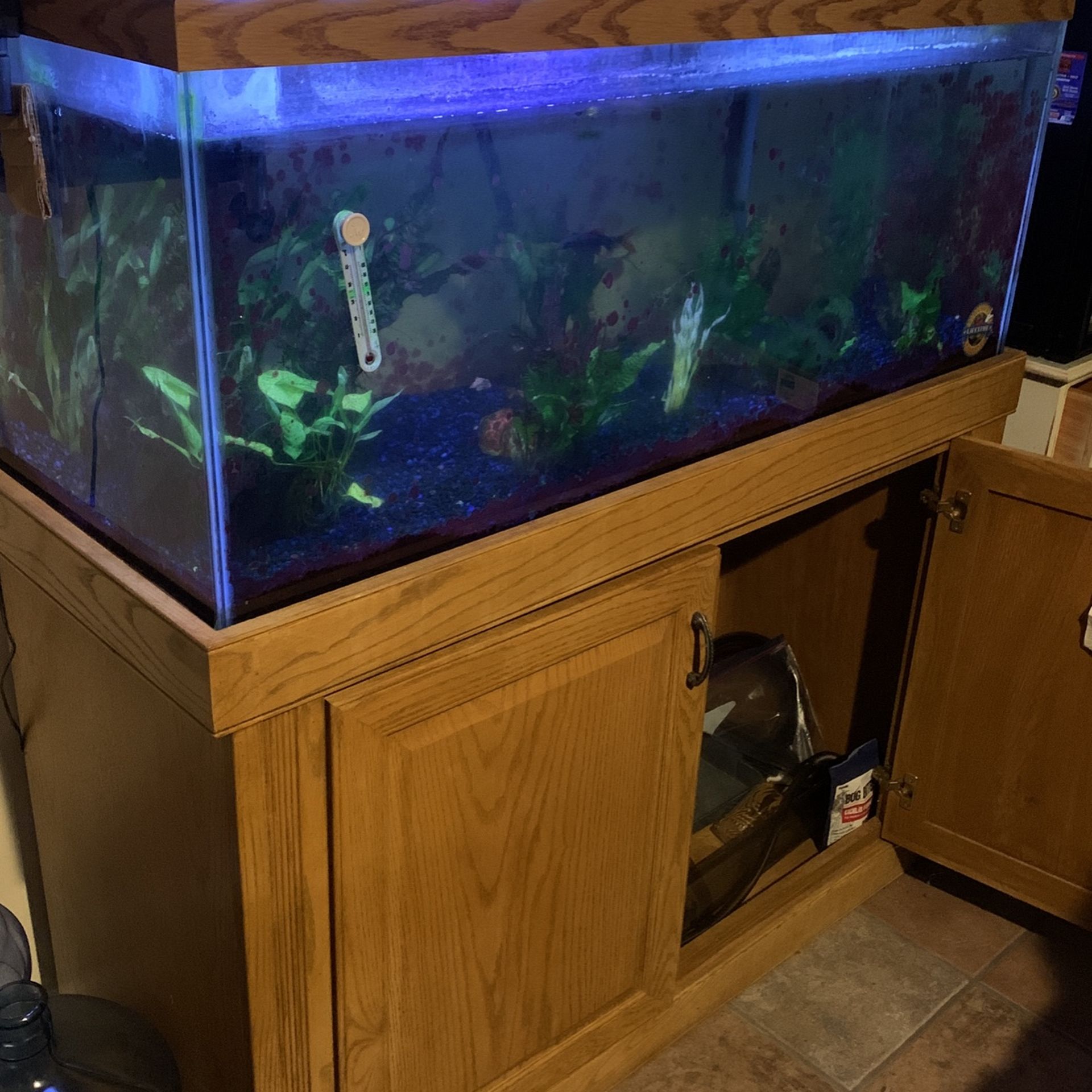 75 Gallon Aquarium , Cabinet, Filters