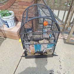 Big Bird Cage