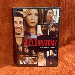 Grey’s Anatomy ( Season One ) 