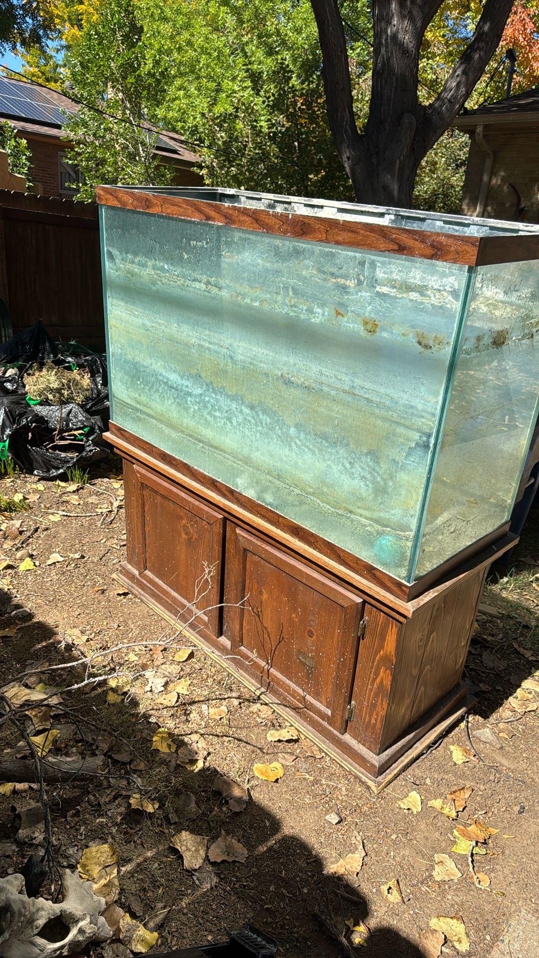 Free -110 Gal Fish Tank.