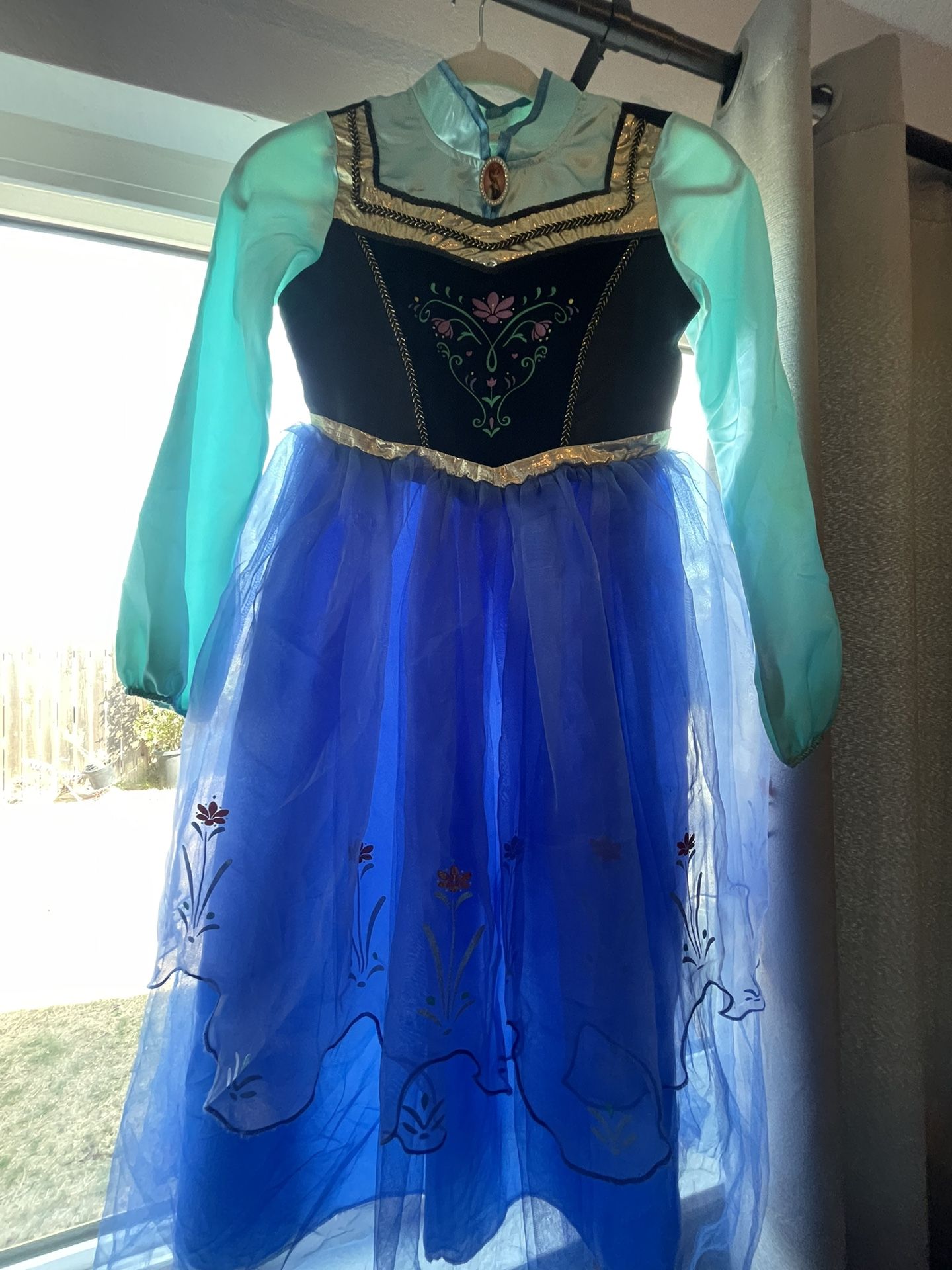 Princess Anna Costume (child)