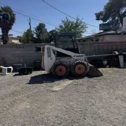Bobcat