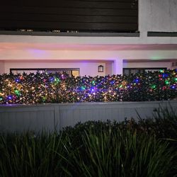 2 pcs of Expandable Pvc Trellis Hedges 36 in. X 72 in.