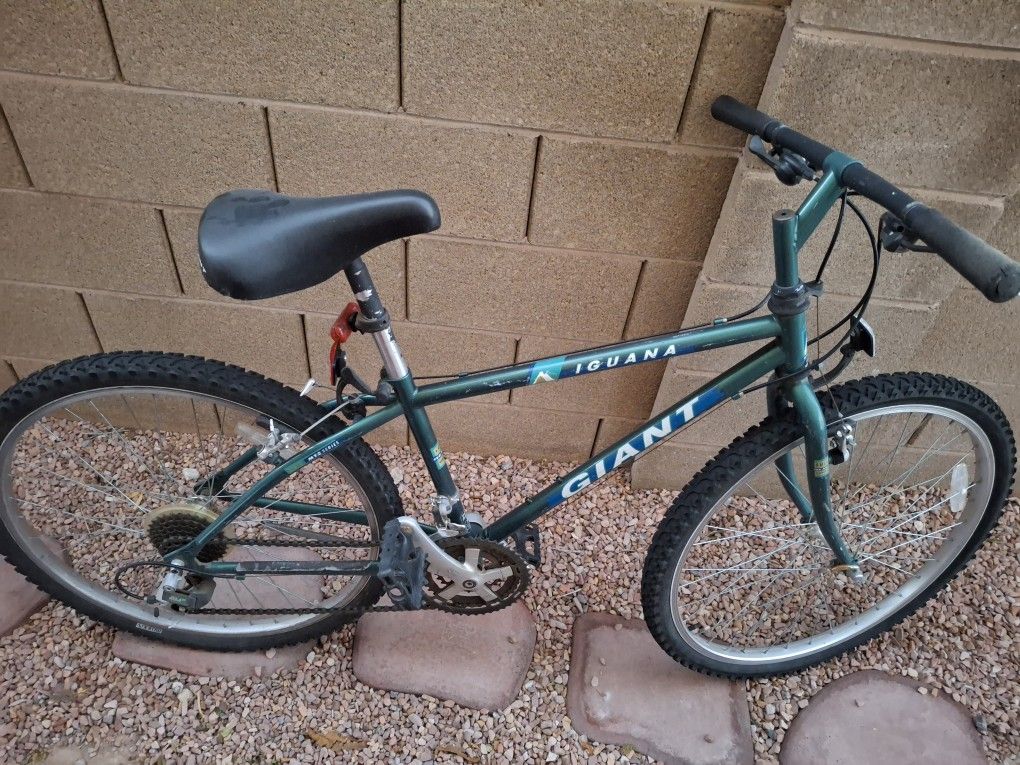 Iguana Giant Mountain Bike