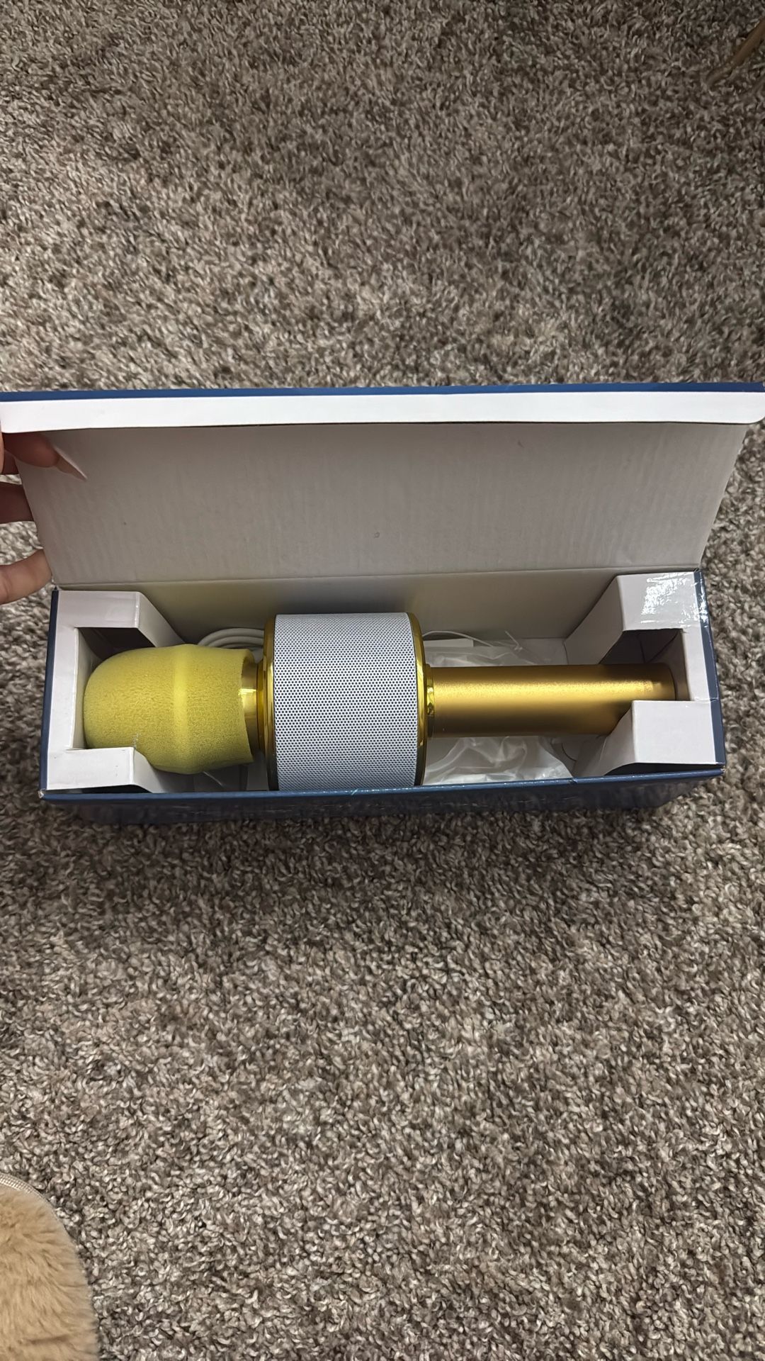 Bonaok Karaoke Microphone Bluetooth