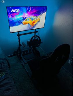 Racing sim