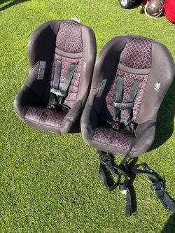 Car Seats - Cosco