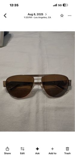 SAMA eye wear Aviator Sunglasses Gold Frame Brown Lenses