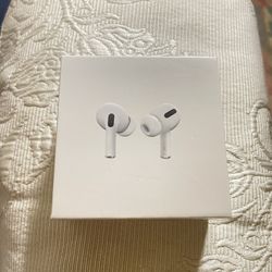 Apple Earbuds