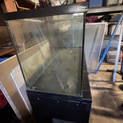 Fish Tank and Stand 