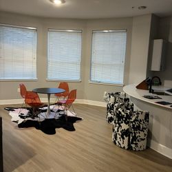 Table ,Rug & Two Chairs 