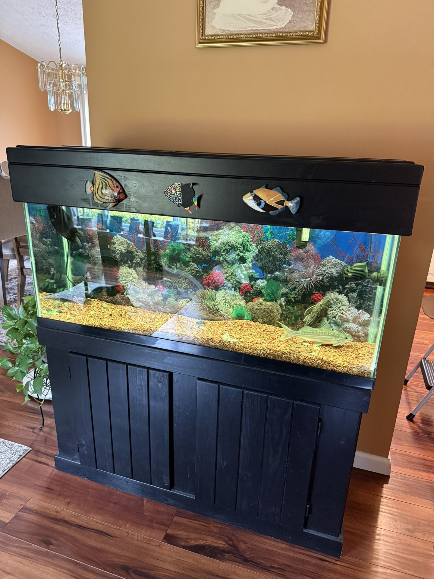 55 Gallon Fish tank