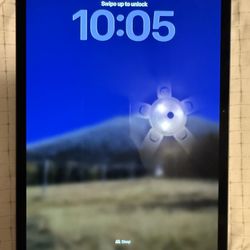 iPad Pro M5 WiFi + Cellular