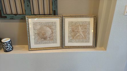 Shell pictures