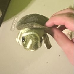 Green turtle small stuffed animal