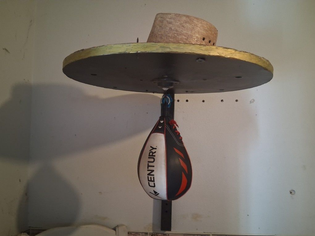 Speed Bag And Mounting Board