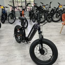 HOVSCO HovBeta Foldable E-Bike 20" Fat Tire E-Bike (Purple)