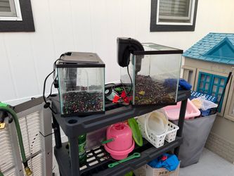 2 Fish Tanks 10 Gallon and 5 Gallon