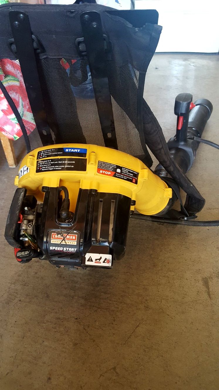 ~CRAFTSMAN GAS LEAF BLOWER~