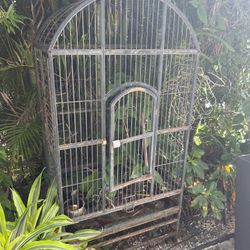 Bird cage 