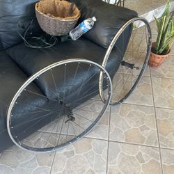 Bicycle Rims