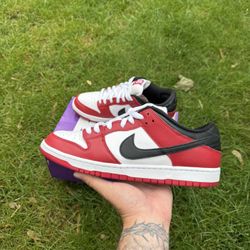 Nike Dunk SB Chicago
