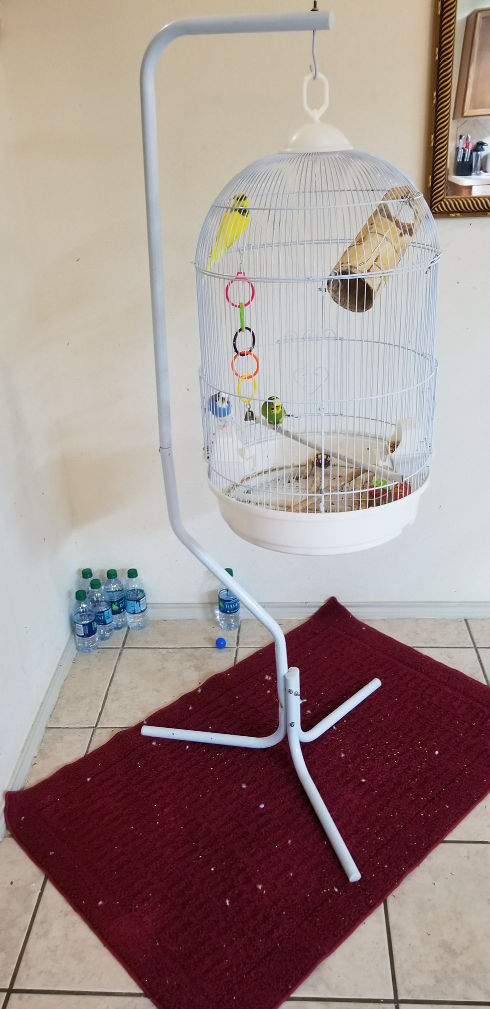 Peraki...3 birds with cage