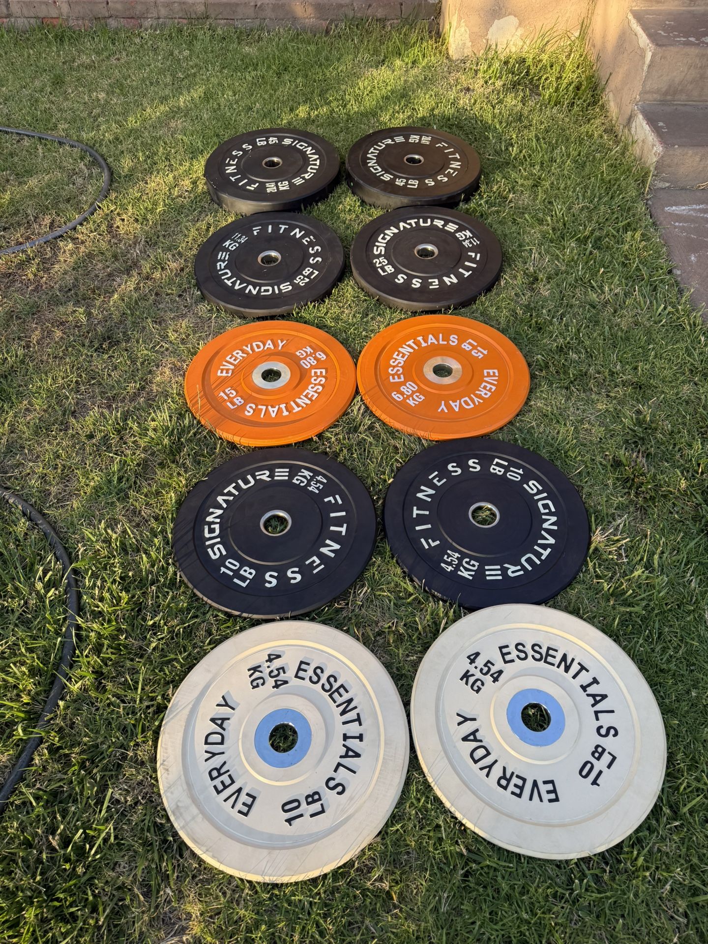 Olympic Bumper Weights