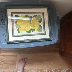 2 box original water colors by Robert Taylor of Hawaii and CA