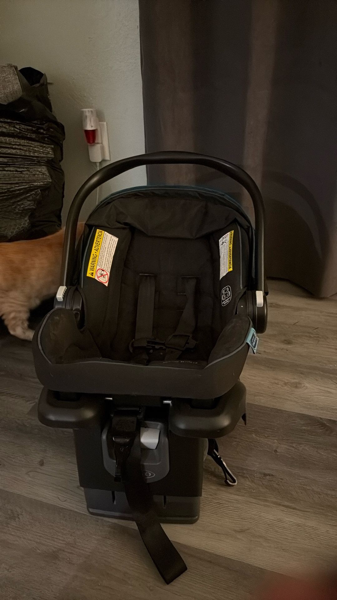 Graco Infant Car seat 