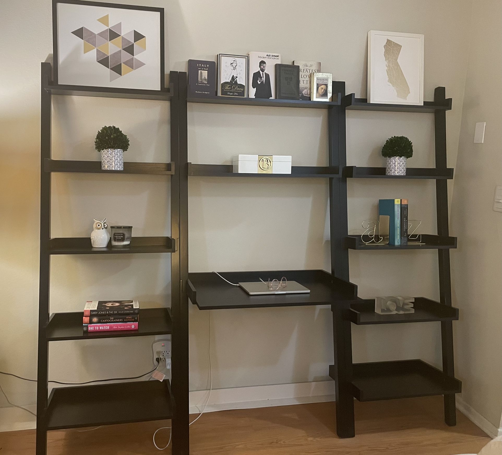 Container Store Linea Leaning Bookcases and Desk