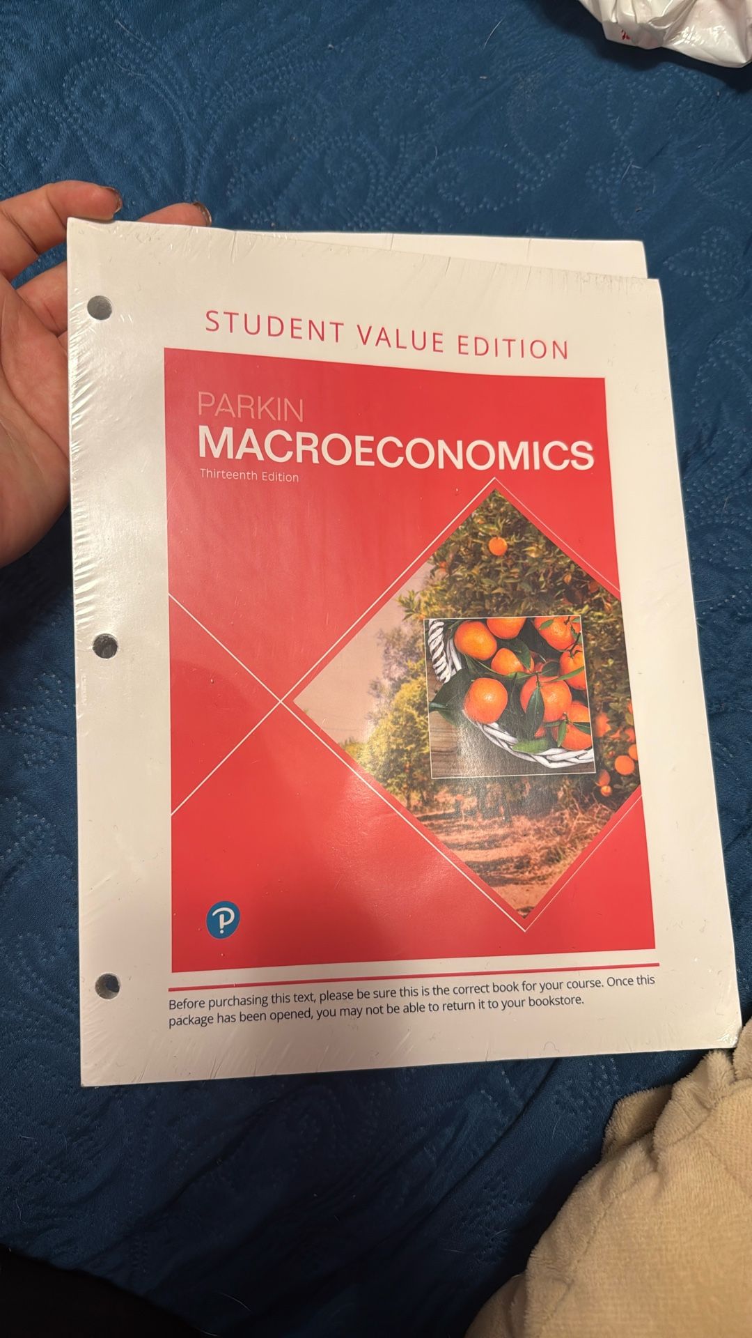 Macroeconomics 13th Edition