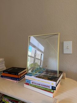 Gold standing photo frame for 10”x12” photo