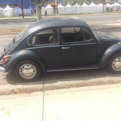 1972 Beetle