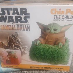 Star Wars Chia Pet