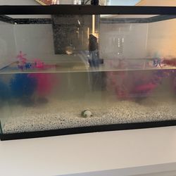 18 gallon fish tank with filter etc