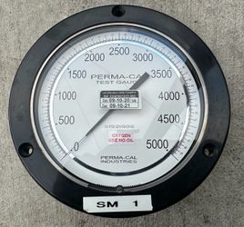 Perma-Cal 100FTM1401-1 5000 PSI Pressure Test Gauge