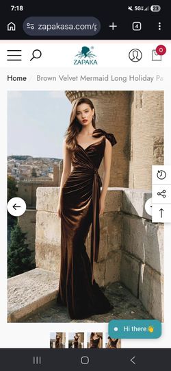 Brown Velvet Gown