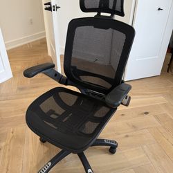 GABRYLLY Ergonomic Office Chair