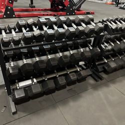 5-50lbs Dumbbells w/Rack 