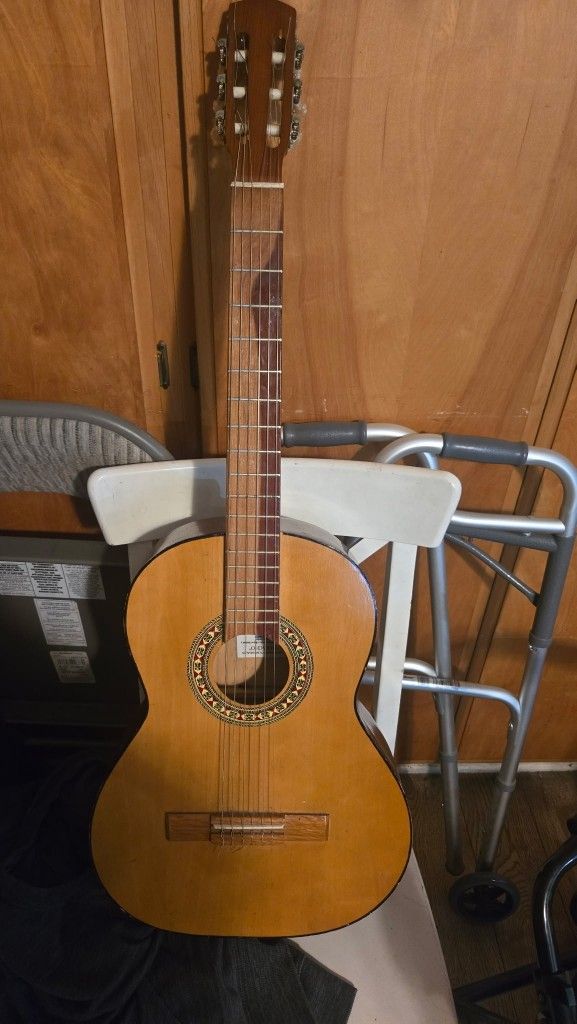 Acoustic Guitar $60