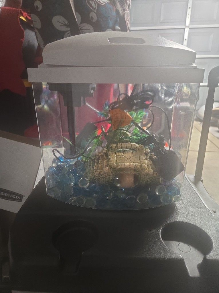 Starter Aquarium