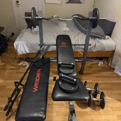 Full Home Gym Set – Benches, Weights, EZ Curl Bar, Adjustable Dumbbells, HolaHatha Push-Up Bars -180