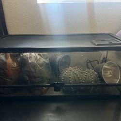 Double-Door Reptile Terrerium 