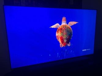 Vizio 65" P-Series Quantum X 4K HDR Smart TV (P65QX-H1) - Incredible Brightness