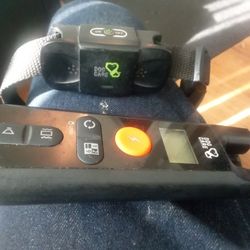Dog Shock Collar
