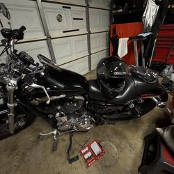 2011 Harley Davidson 1200 custom sportster