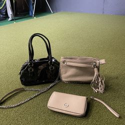 Coach And Micheal Kors Bag/wallet