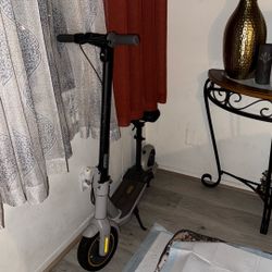 Ninebot Scooter